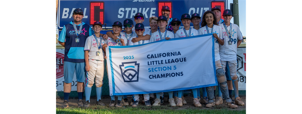 Major Section All Stars - Aptos